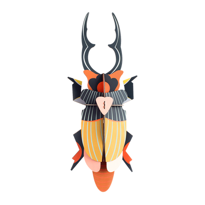 STUDIOROOF Kit Scarabee cerf volant Multicolore