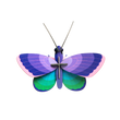PAPILLON BLEU CUIVRÉ