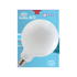 LED GLOBE 100W E27 LUMIÈRE FROIDE