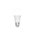 LED STANDARD 75W E27 LUMIÈRE FROIDE
