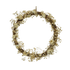 CHEYENNE