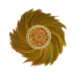 MASERO