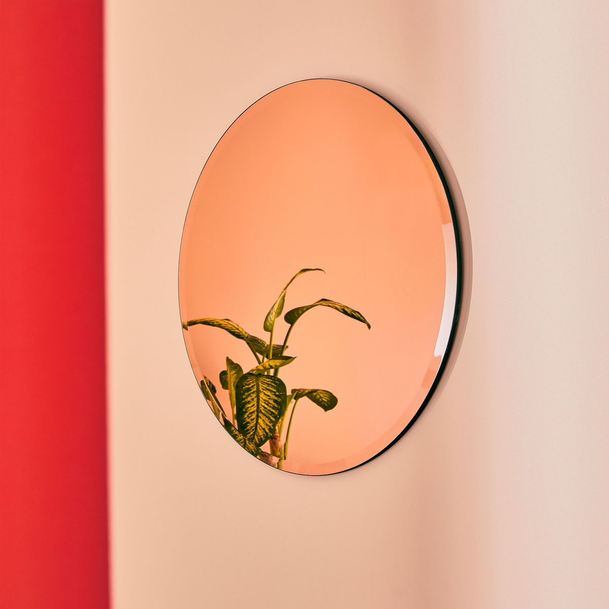 4MURS Miroir teinté Rosia Rose