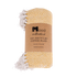 SAXA