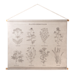PLANTES MÉDICINALES