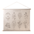 PLANTES MÉDICINALES
