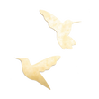 COLIBRI