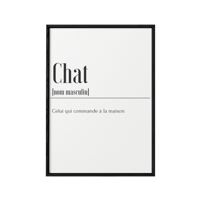 DÉFINITION CHAT