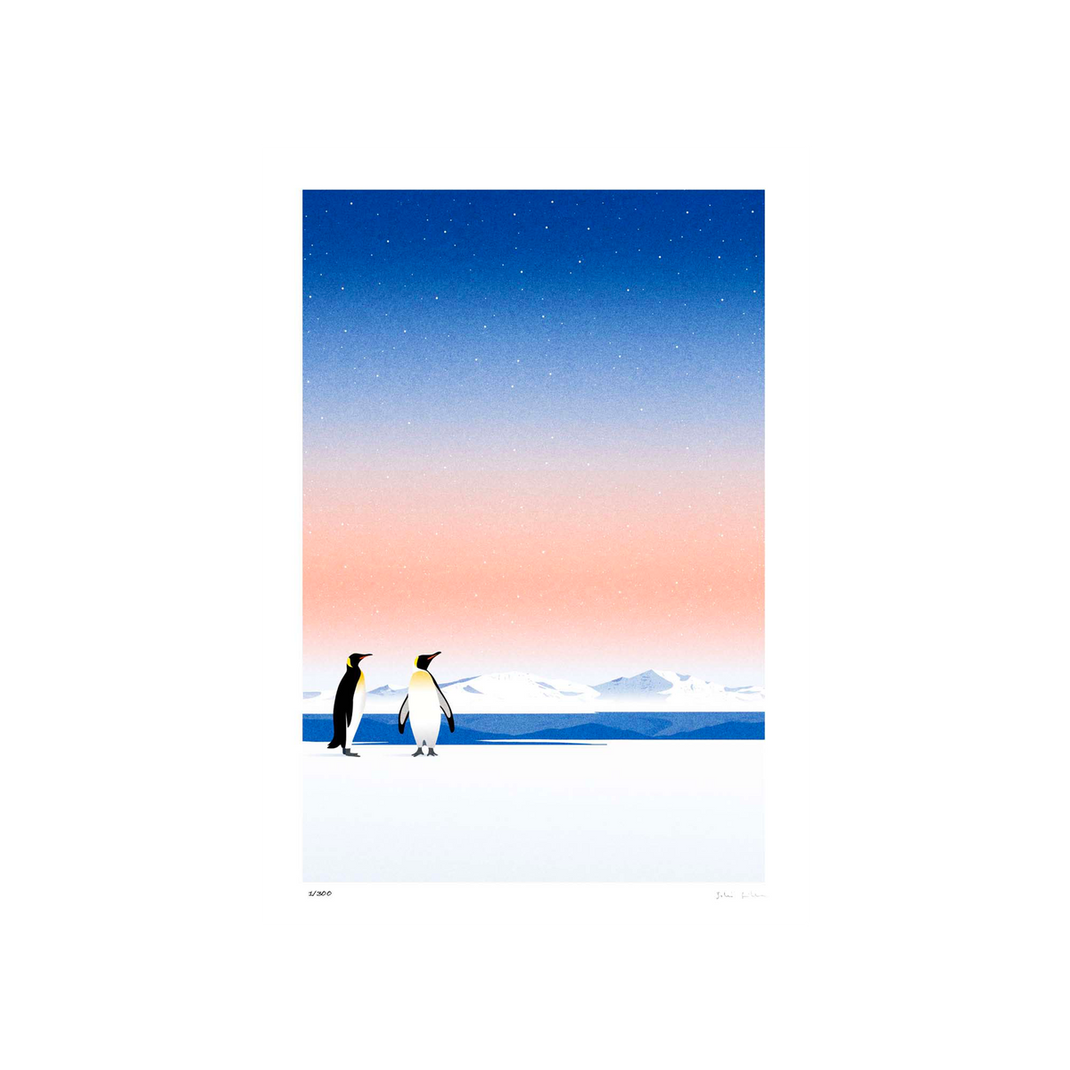 SERGEANTPAPER Affiche Antarctique a3 Bleu et beige