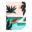 COCONUT GROOVE