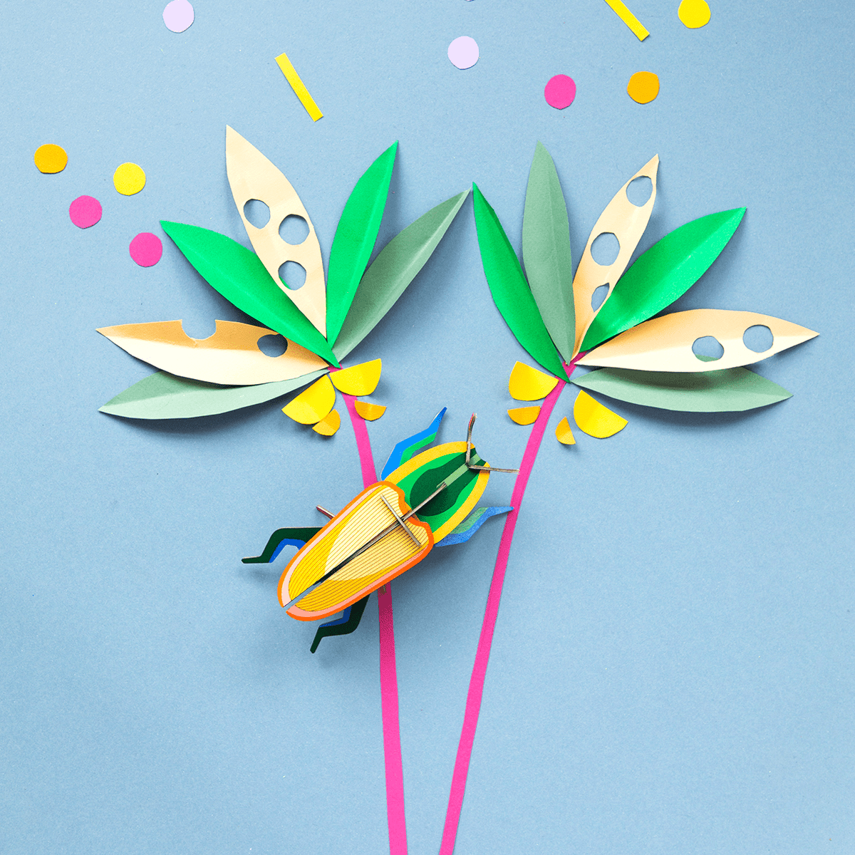 STUDIOROOF Kit Madagascar Multicolore