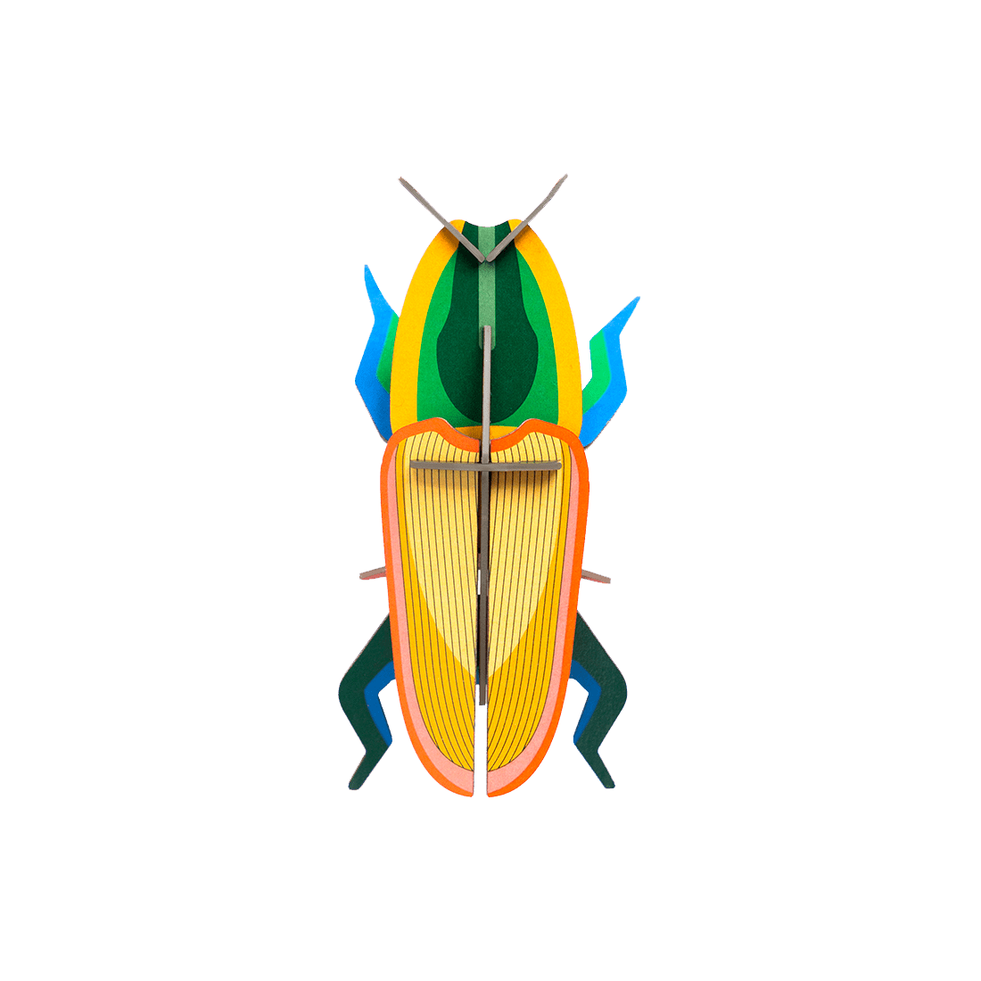 STUDIOROOF Kit Madagascar Multicolore