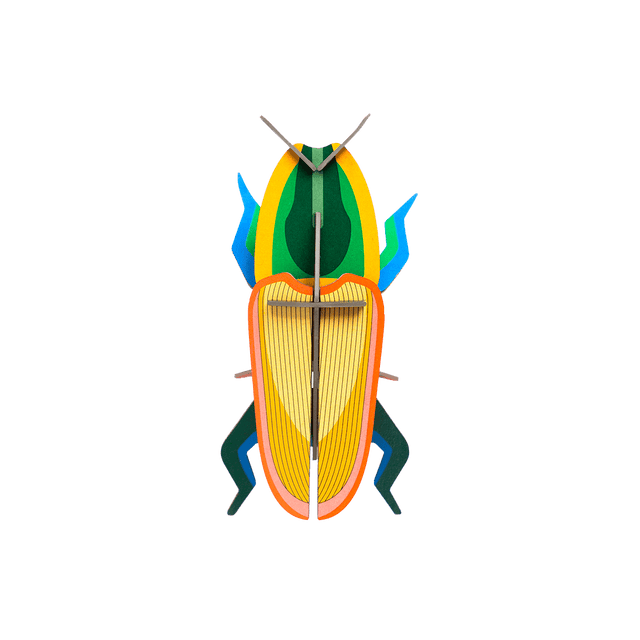 Studio ROOF Kit MADAGASCAR