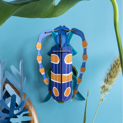 STUDIOROOF Kit Rosalia Bleu