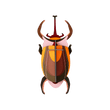 SCARABEE ELEPHANT