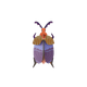 STUDIOROOF Kit Queen Multicolore