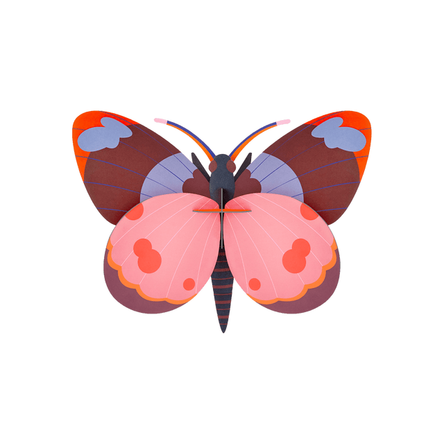 Studio ROOF Kit BELLISSIMA