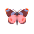BELLISSIMA