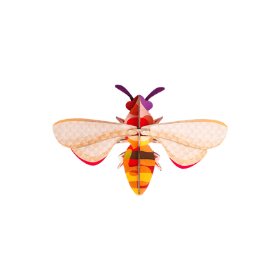 STUDIOROOF Kit Honey bee Orange