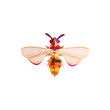 HONEY BEE