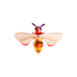 HONEY BEE