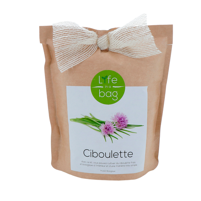 LIFE IN A BAG Plante CIBOULETTE coloris papier kraft