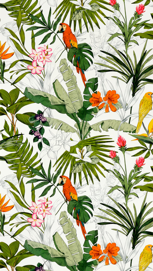 Papier peint intissé PARADISE coloris multicolore