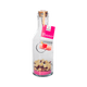 QUAI SUD Mélange pour cocktail Sex on the beach 150G