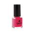 SORBET FRAMBOISE