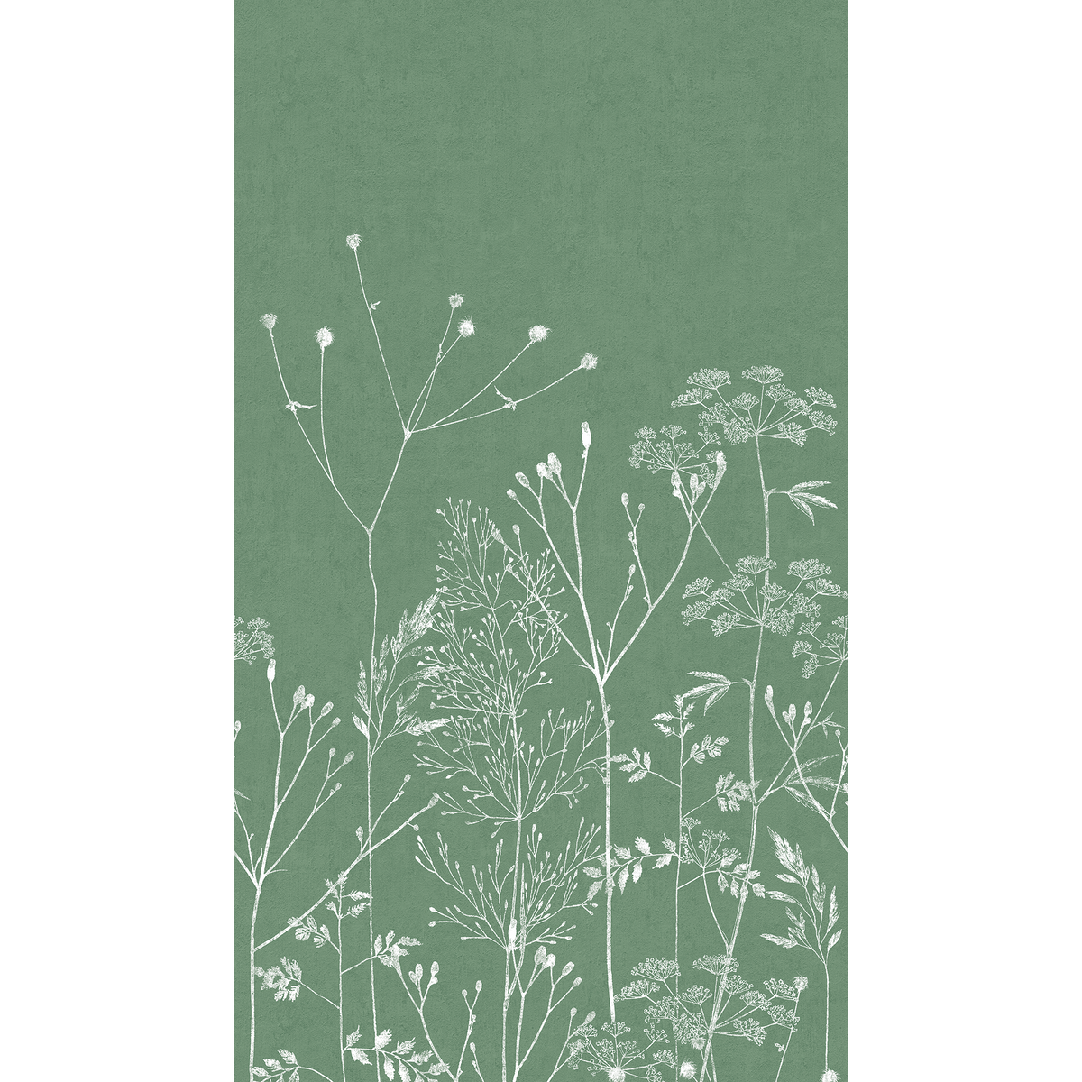 Papier peint panoramique L Libelune Vert anglais Satiné