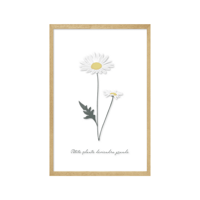 4MURS Image sous verre DOUCE CAMPAGNE MARGUERITE 20 x 30 cm