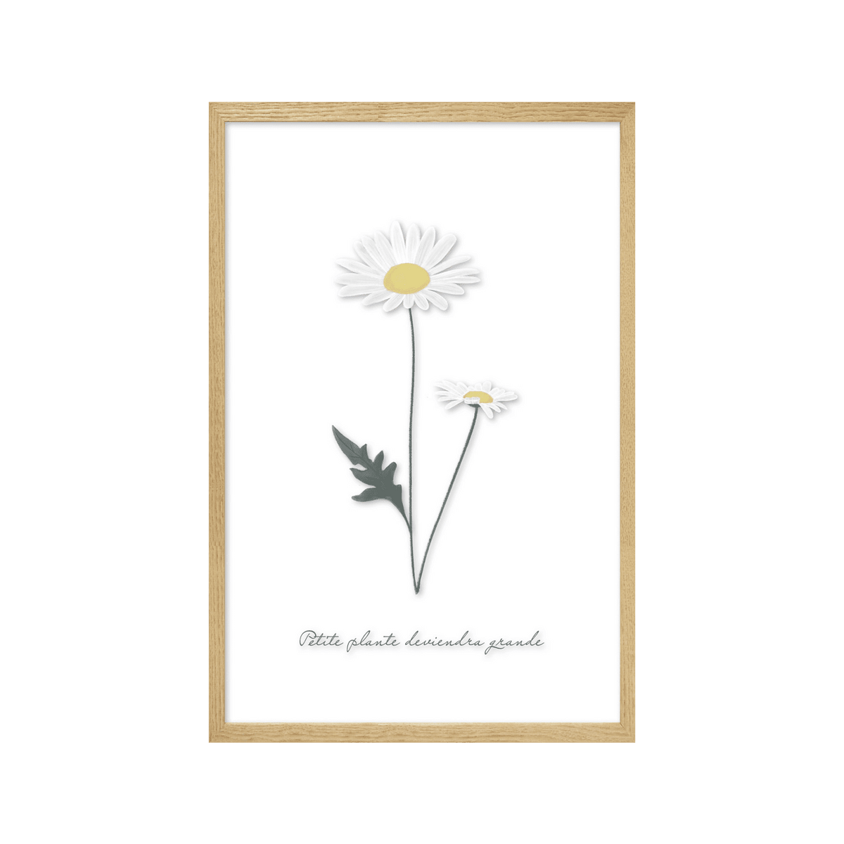 4MURS Image sous verre Douce campagne marguerite Vert et transparent