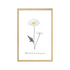 DOUCE CAMPAGNE MARGUERITE