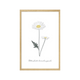 4MURS Image sous verre Douce campagne marguerite Vert et transparent