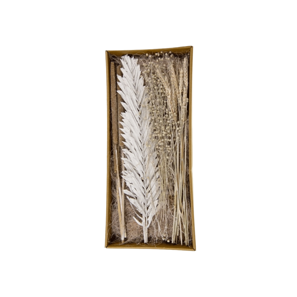 Fleurs séchées Pilma Blanc naturel