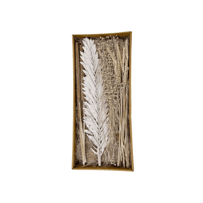 Fleurs séchées Pilma Blanc naturel