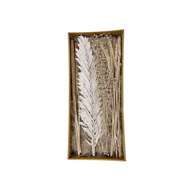 Fleurs séchées PILMA coloris blanc / naturel