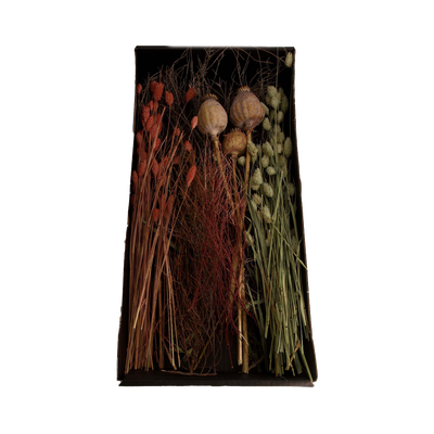 Fleurs séchées Fleurs séchées elina Multicolore