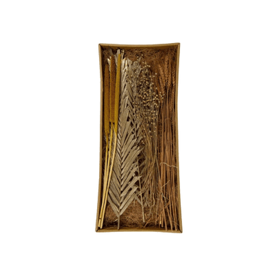 Fleurs séchées Arona Beige