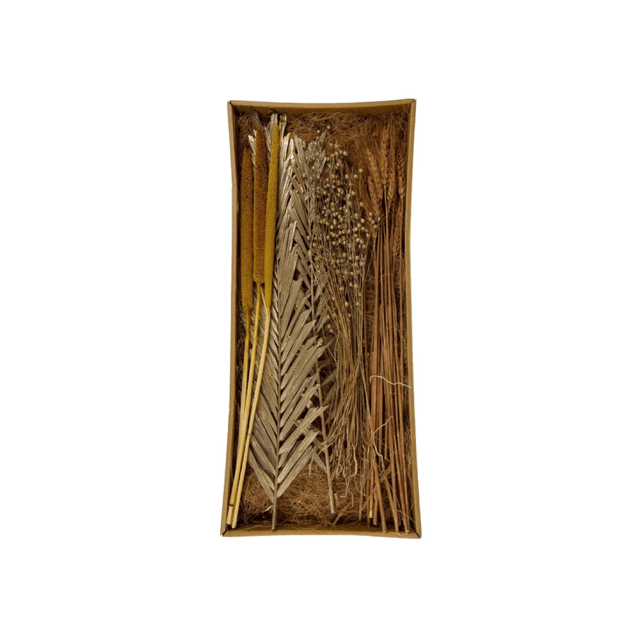 Fleurs séchées ARONA coloris beige