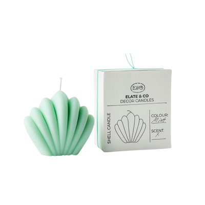 ELATE & CO Bougie Shell Vert Sans parfum