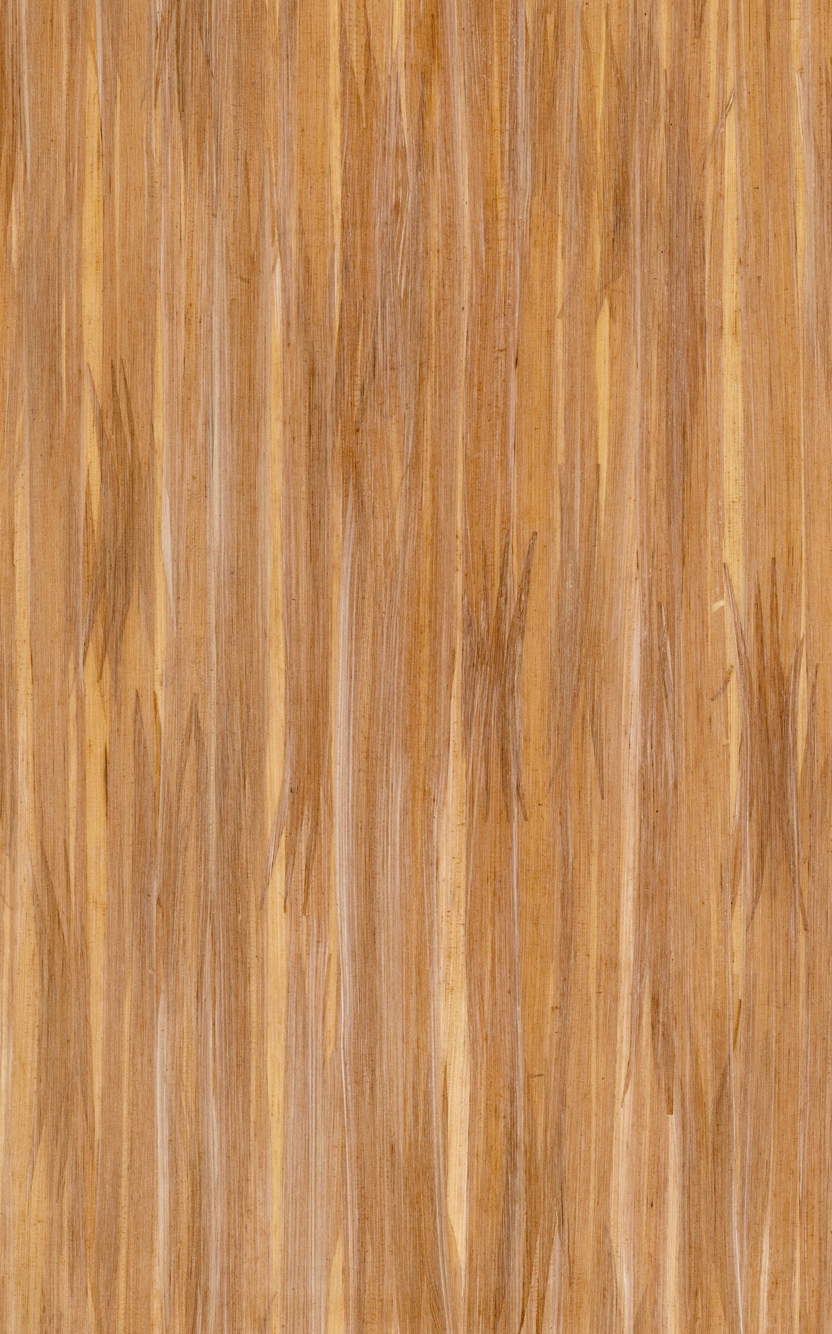 Fibres naturelles sur intissé Wall Naturel