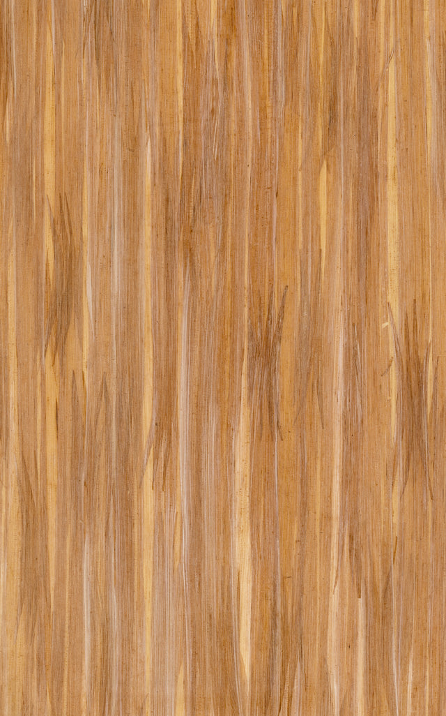 Fibres naturelles sur intissé WALL coloris naturel