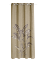 CYCAS