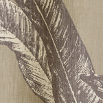 CYCAS