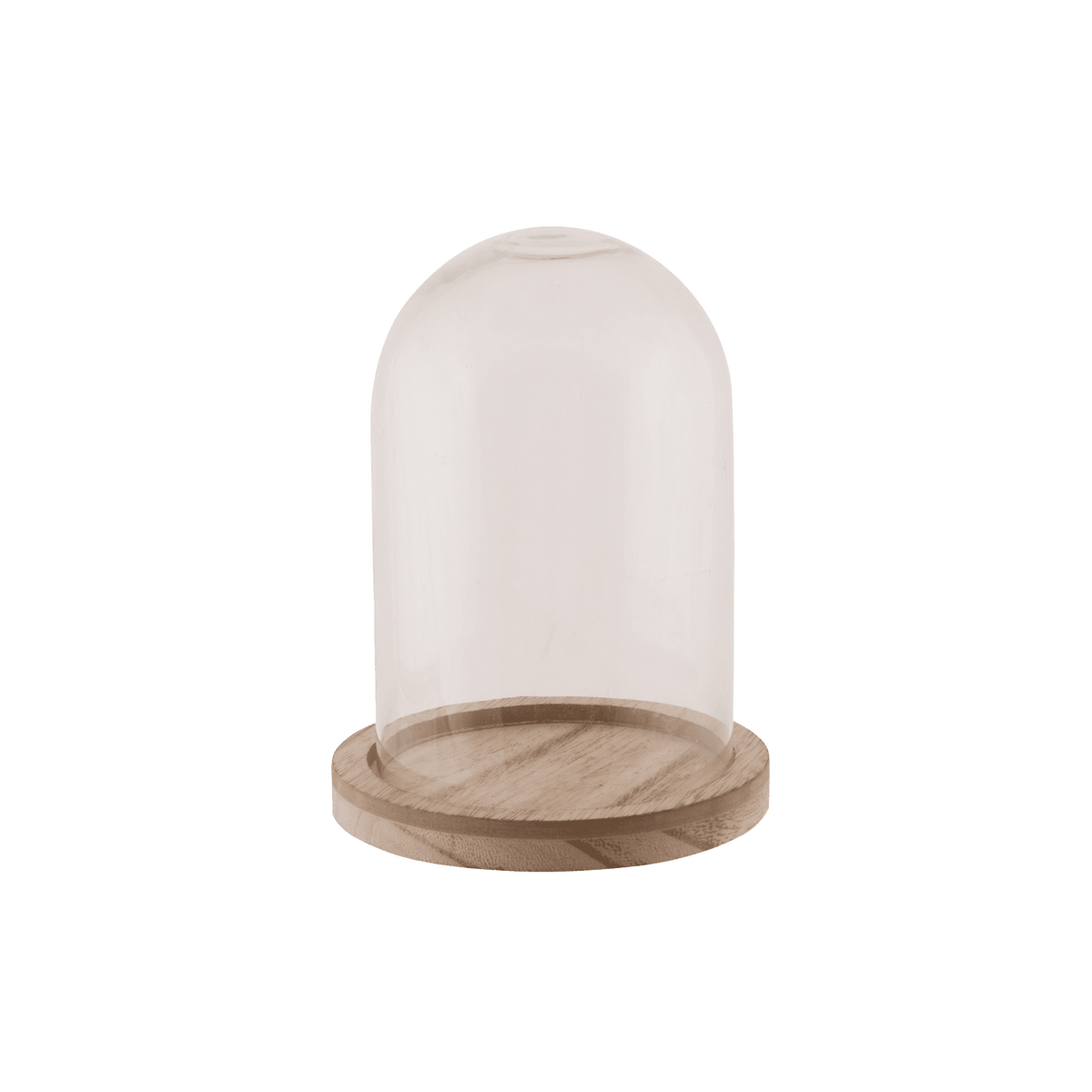 Cloche Dallas s Transparent