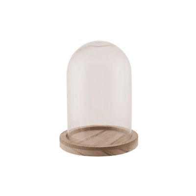 Cloche Dallas s Transparent