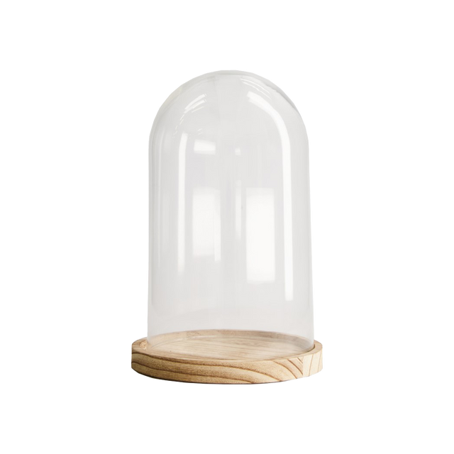 Cloche DALLAS M coloris transparent