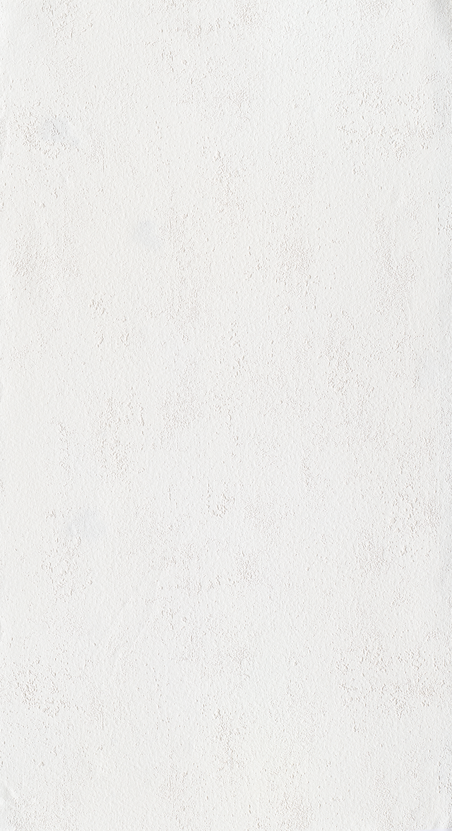 Fibre à peindre expansée sur intissé RENO WALL