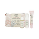 PANIER DES SENS Coffret cosmétique Trousse soin visage pivoine Rose Pivoine 170ML